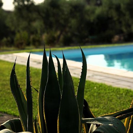 Accogliente Villa Con Piscina Caltagirone Kültér fotó
