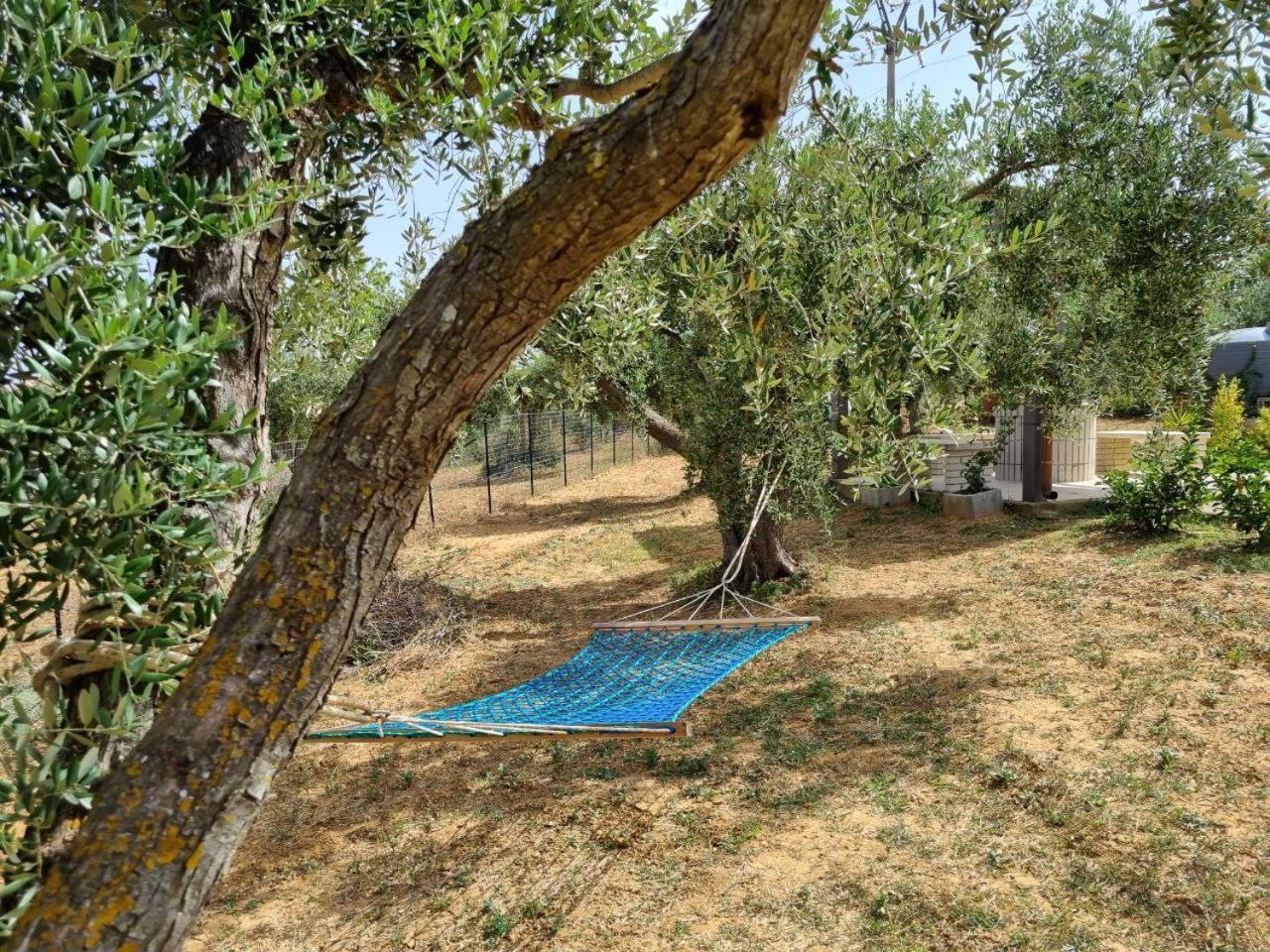Accogliente Villa Con Piscina Caltagirone Kültér fotó