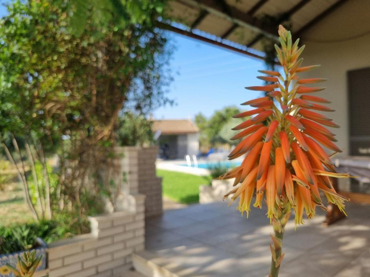 Accogliente Villa Con Piscina Caltagirone Kültér fotó